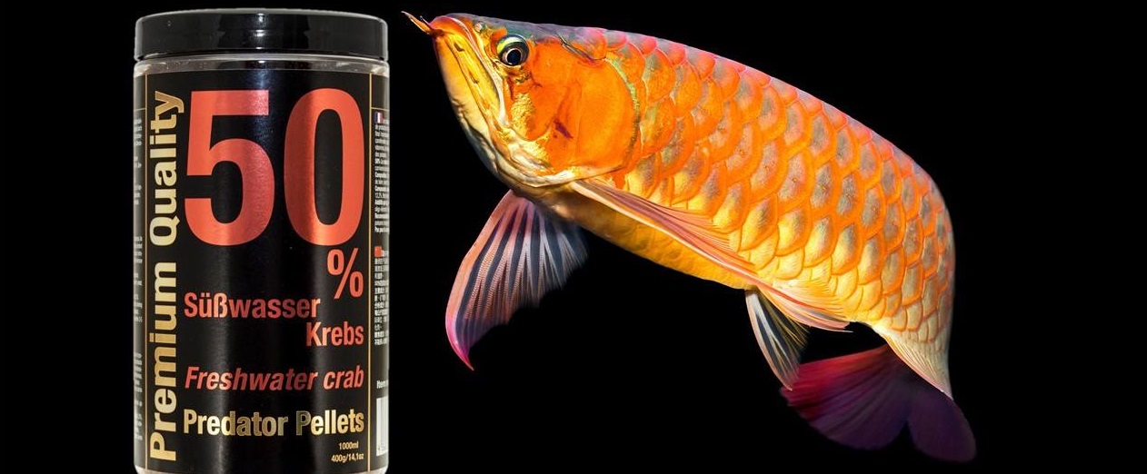 Připravujeme novinku pro Monster Fish