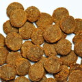 Pleco & Catfish Carni Wafers  Discusfood