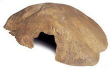 Jeskyně EXO TERRA Reptile Cave malá