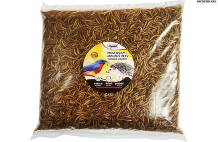 MEALWORM 