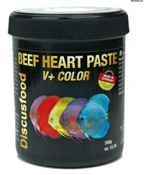 Discusfood Beef Heart Paste V+COLOR 200 gr